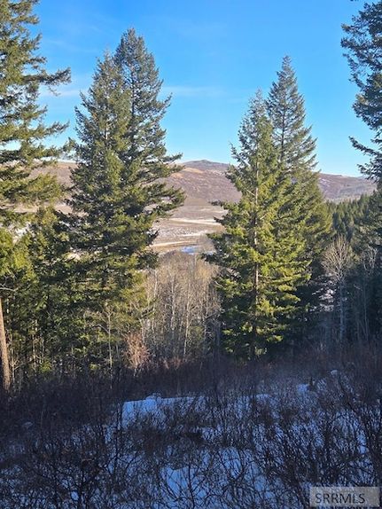 Undeveloped Land for sale in Bingham County, Idaho