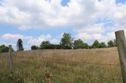Undeveloped Land for sale in Smyth County, Virginia