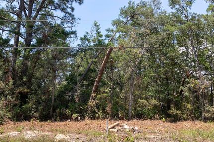 Undeveloped Land for sale in Walton County, Florida