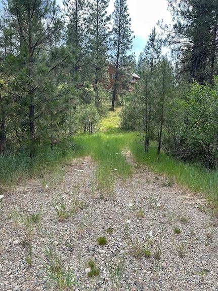 Undeveloped Land for sale in Boise County, Idaho