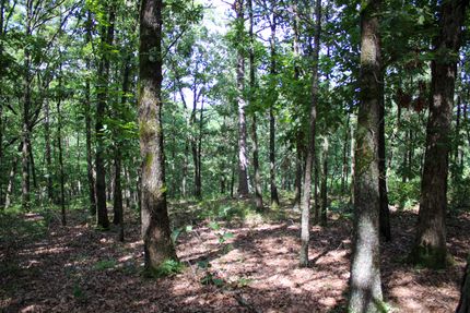 Timberland Property for sale in Delaware County, Oklahoma