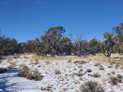 Ranch Property for sale in Apache County, Arizona