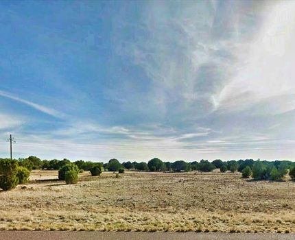 Property for sale in Navajo County, Arizona