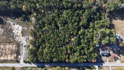 Undeveloped Land for sale in Dillon County, South Carolina