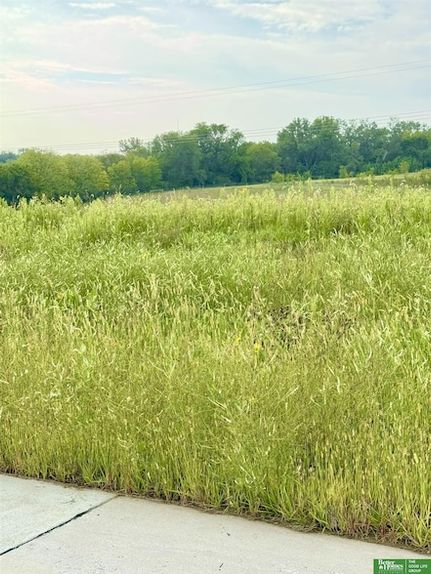 Property for sale in Sarpy County, Nebraska