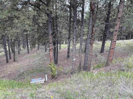 Property for sale in Colfax County, New Mexico