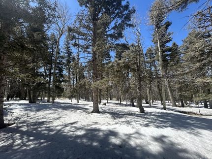 Property for sale in Colfax County, New Mexico