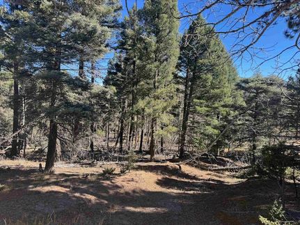Property for sale in Colfax County, New Mexico
