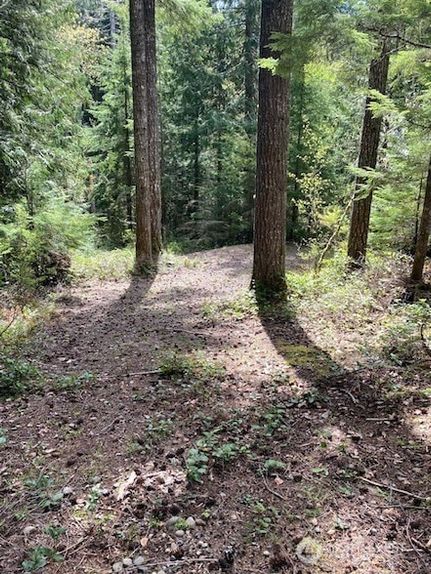 Property for sale in Mason County, Washington