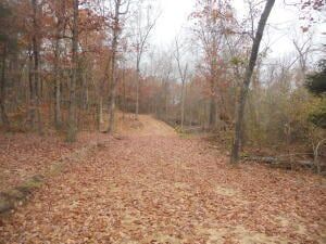 Property for sale in Newton County, Arkansas