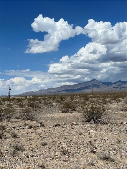Undeveloped Land for sale in Nye County, Nevada