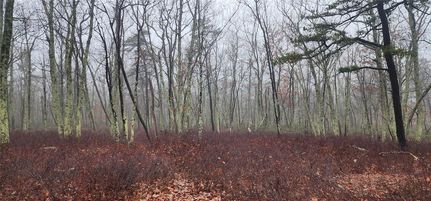 Property for sale in Sullivan County, New York