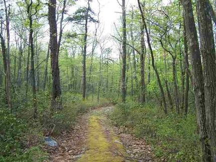 Property for sale in Sullivan County, New York