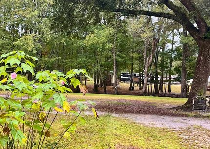 Property for sale in Colleton County, South Carolina