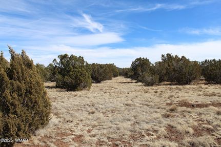 Residential Property for sale in Apache County, Arizona