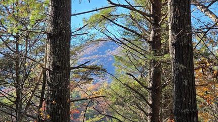 Property for sale in Polk County, Tennessee