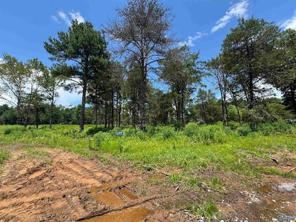 Property for sale in Marshall County, Alabama