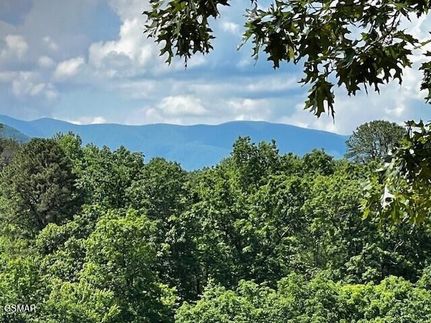 Undeveloped Land for sale in Sevier County, Tennessee