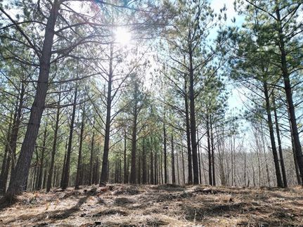 Property for sale in Perry County, Tennessee