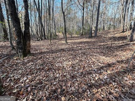 Property for sale in White County, Georgia