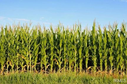 Property for sale in Huntington County, Indiana