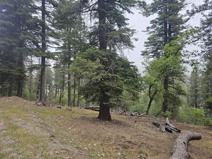 Property for sale in Otero County, New Mexico