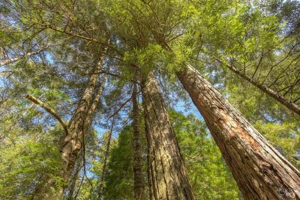 Property for sale in Sonoma County, California