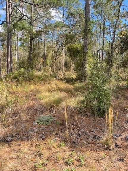 Property for sale in Levy County, Florida
