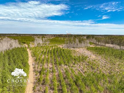 Farm Property for sale in Berkeley County, South Carolina