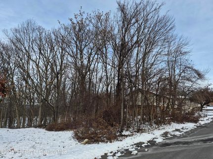 Undeveloped Land for sale in Lackawanna County, Pennsylvania