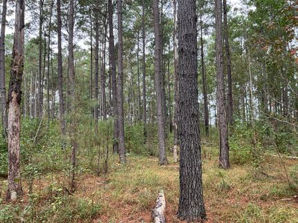 Property for sale in Marion County, South Carolina