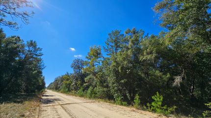 Undeveloped Land for sale in Putnam County, Florida