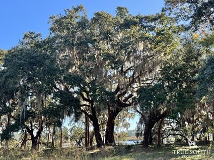 Waterfront Property for sale in Beaufort County, South Carolina