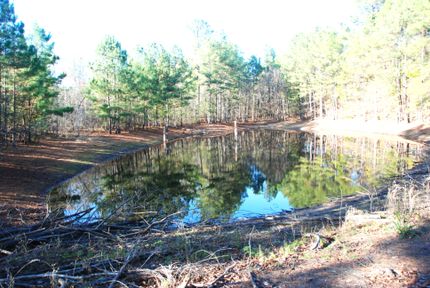 Timberland Property for sale in Wood County, Texas