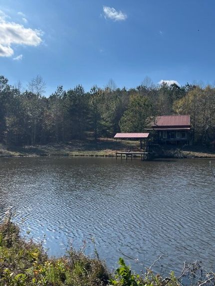 Property for sale in Butler County, Alabama