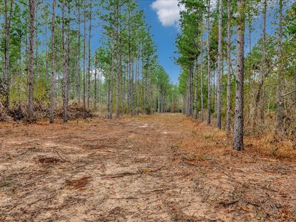 Ranch Property for sale in Trinity County, Texas