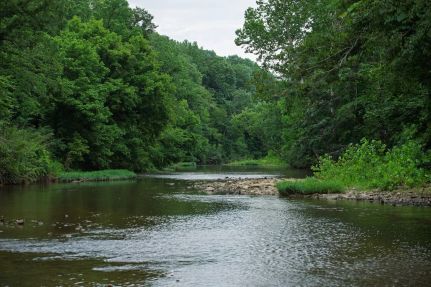 Hunting Land for sale in Dickson County, Tennessee