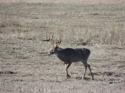 Recreational Property for sale in Duval County, Texas