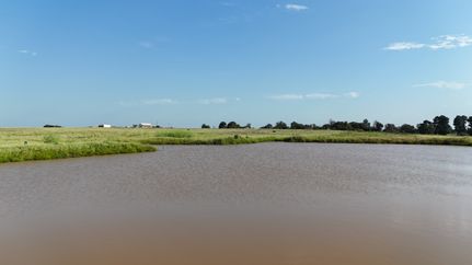 Property for sale in Lee County, Texas