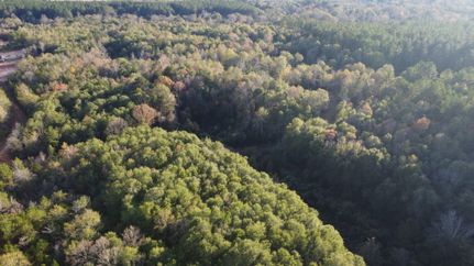 Timberland Property for sale in Marion County, Mississippi