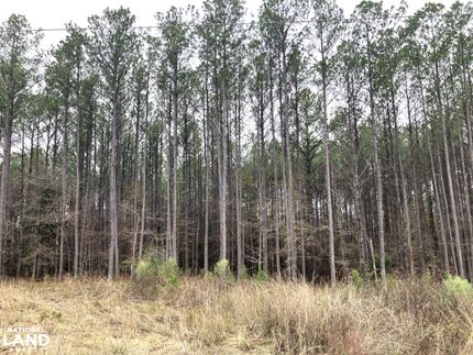 Timberland Property for sale in Yalobusha County, Mississippi