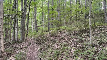 Recreational Property for sale in Wayne County, Ohio