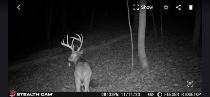 Timberland Property for sale in Scioto County, Ohio