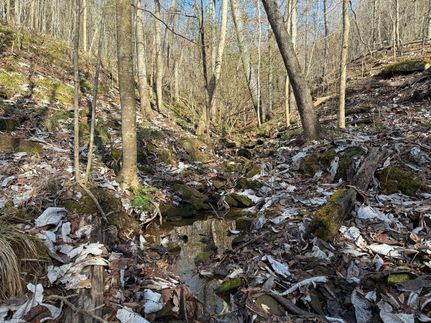 Recreational Property for sale in Winston County, Alabama