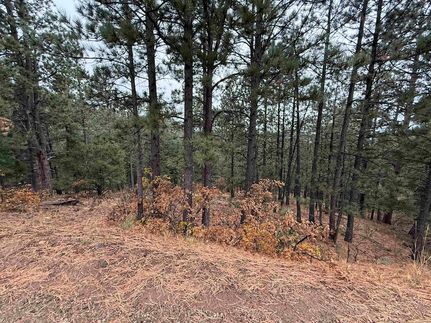 Property for sale in Colfax County, New Mexico