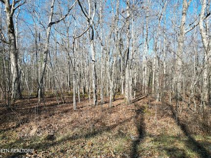 Property for sale in Cumberland County, Tennessee