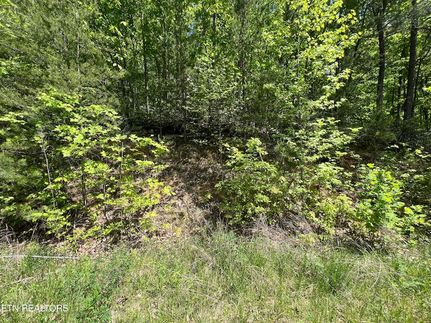 Property for sale in Sevier County, Tennessee