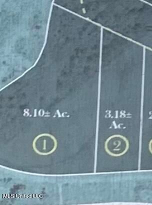 Undeveloped Land for sale in Rankin County, Mississippi