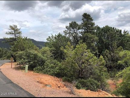 Undeveloped Land for sale in Gila County, Arizona