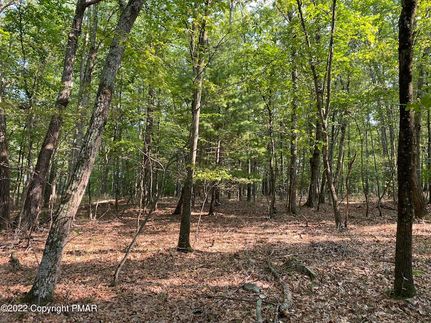 Undeveloped Land for sale in Monroe County, Pennsylvania